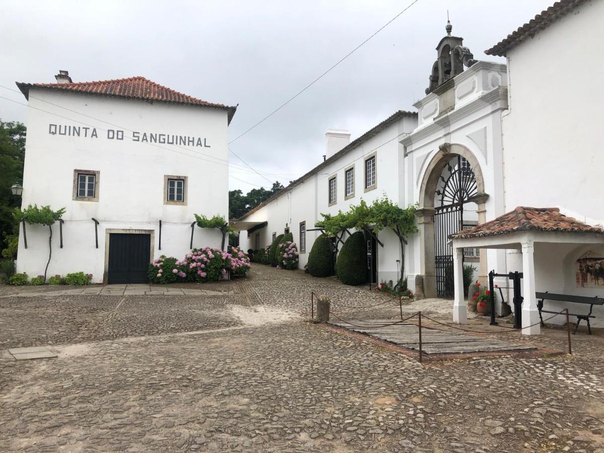 Terra Luso Proche De Montejunto Cadaval Exterior foto