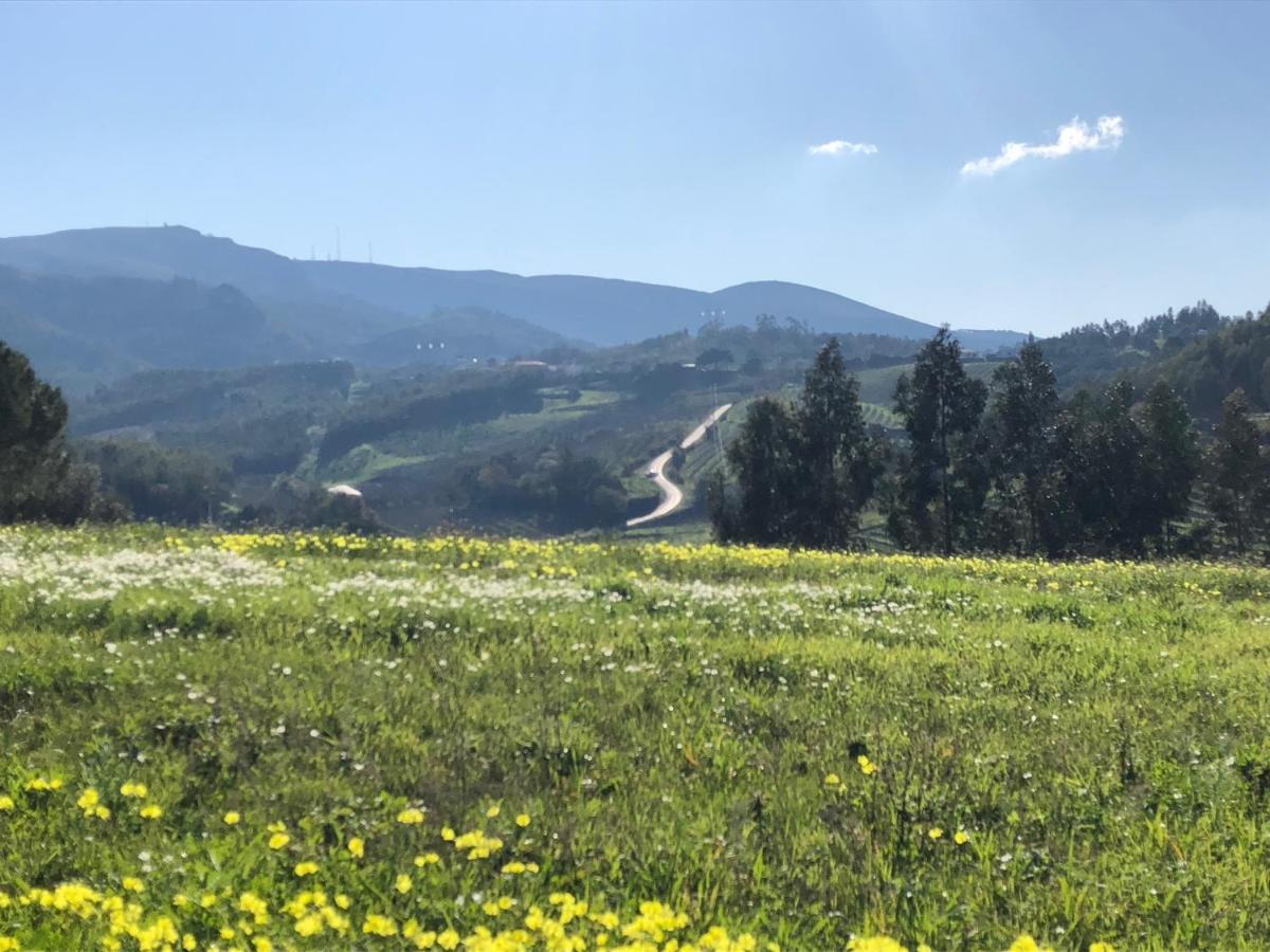 Terra Luso Proche De Montejunto Cadaval Exterior foto